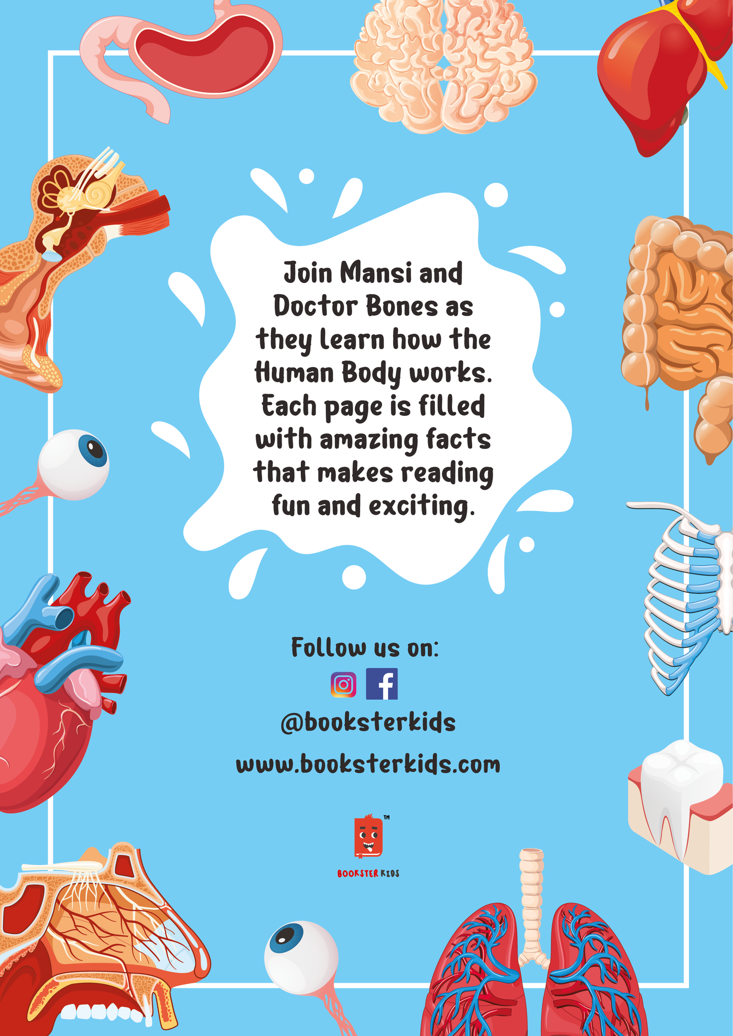 Child Learns How the Human Body Works image 2