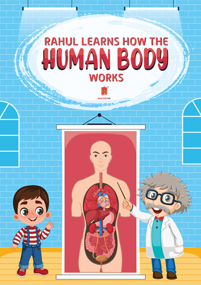 Child Learns How the Human Body Works image 1