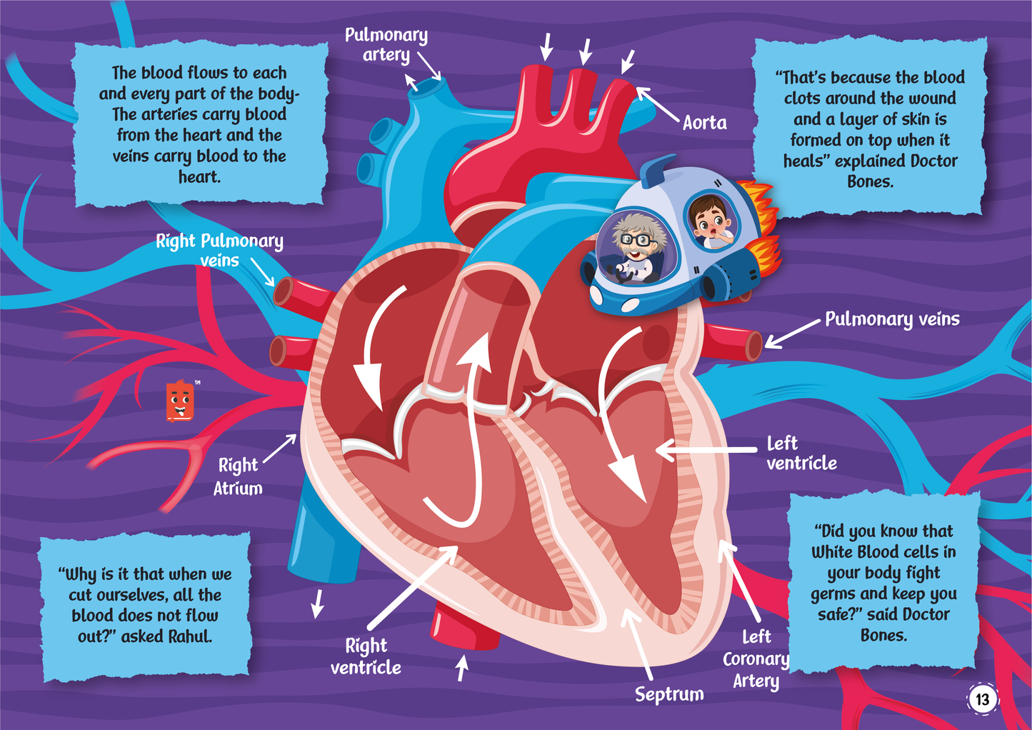 Child Learns How the Human Body Works image 3