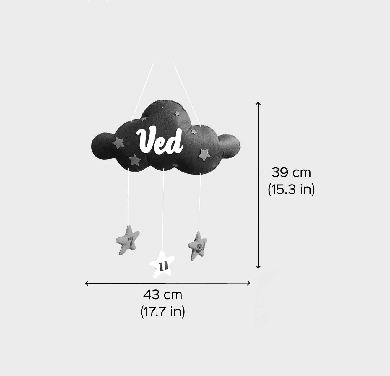 Name Cloud Bunting